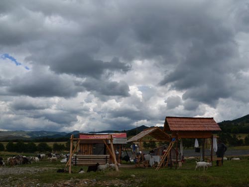 Foto Stana capreasca (c) Lucian Petru Goja